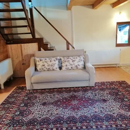 The Wooden House Villa Moldovenesti Bagian luar foto