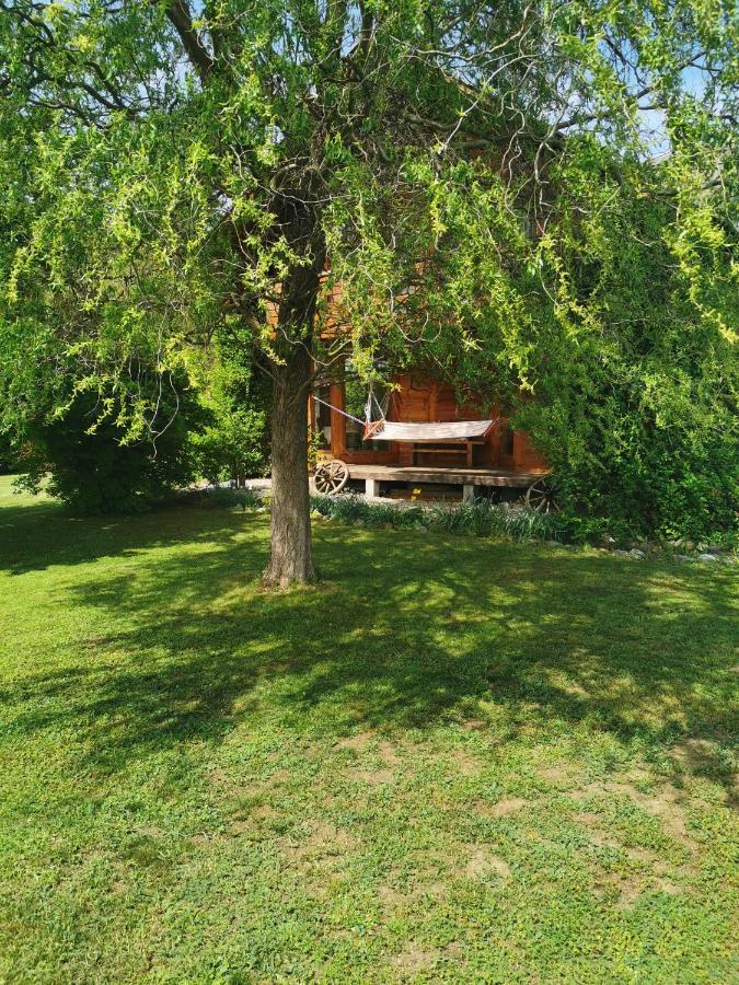 The Wooden House Villa Moldovenesti Bagian luar foto