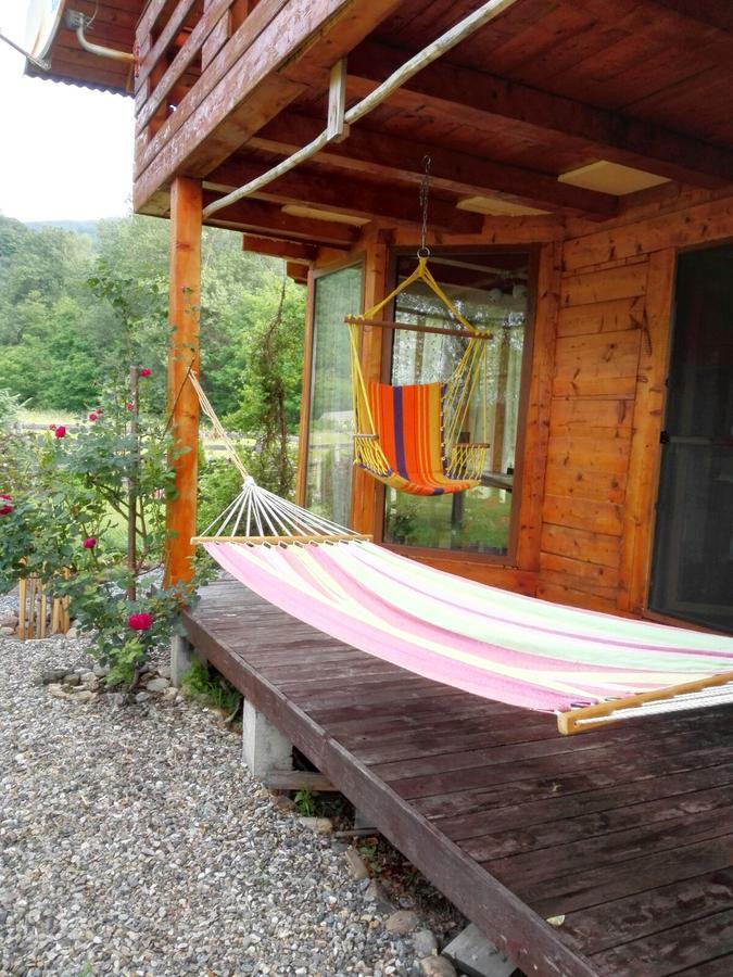 The Wooden House Villa Moldovenesti Bagian luar foto