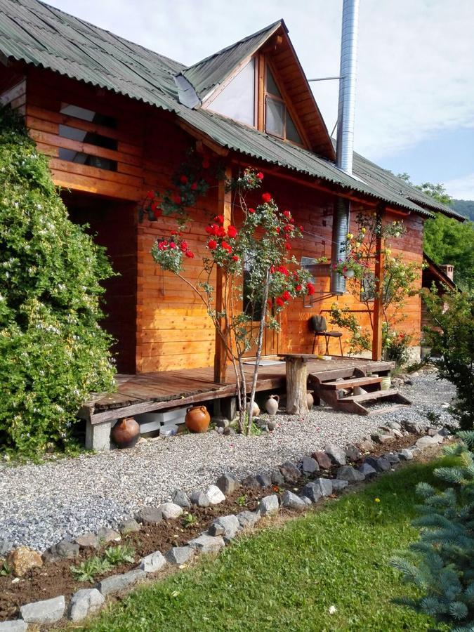 The Wooden House Villa Moldovenesti Bagian luar foto