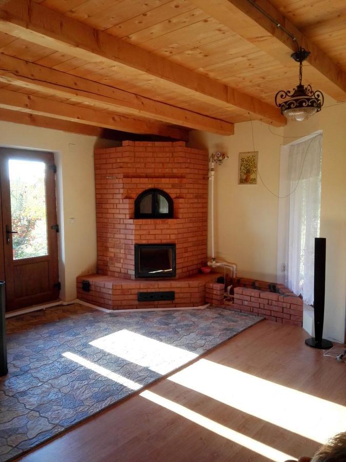 The Wooden House Villa Moldovenesti Bagian luar foto