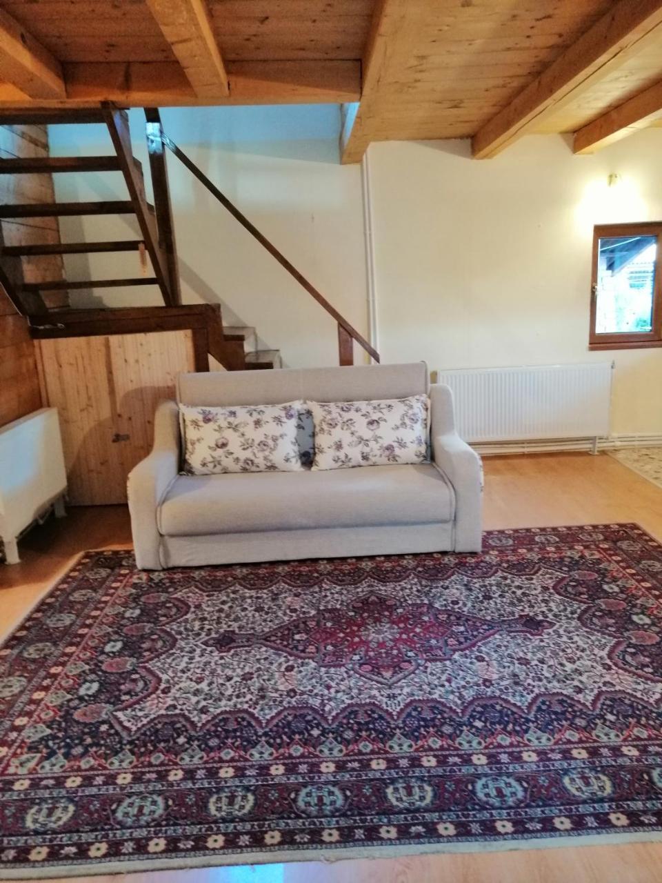 The Wooden House Villa Moldovenesti Bagian luar foto