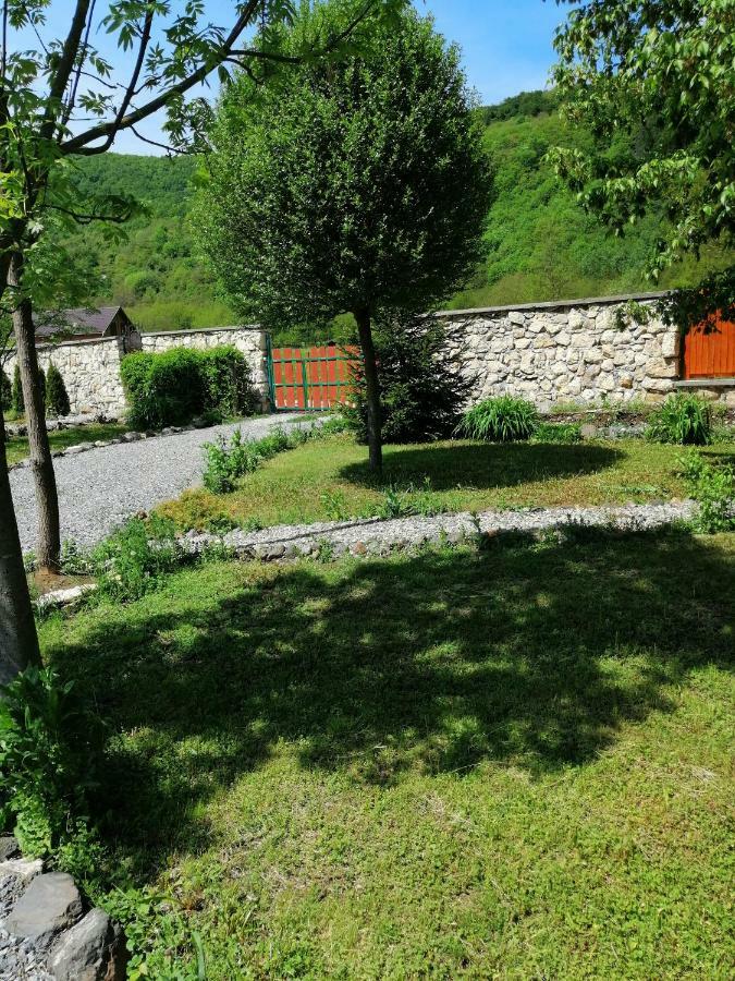 The Wooden House Villa Moldovenesti Bagian luar foto